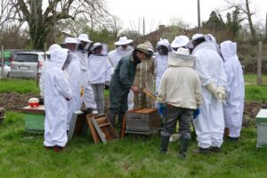Nicolas dans ses oeuvres